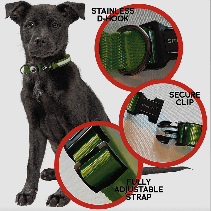 Airtag Holder LED Dog Collar Rechargeable, Waterproof, Adjustable, Soft, Reflective