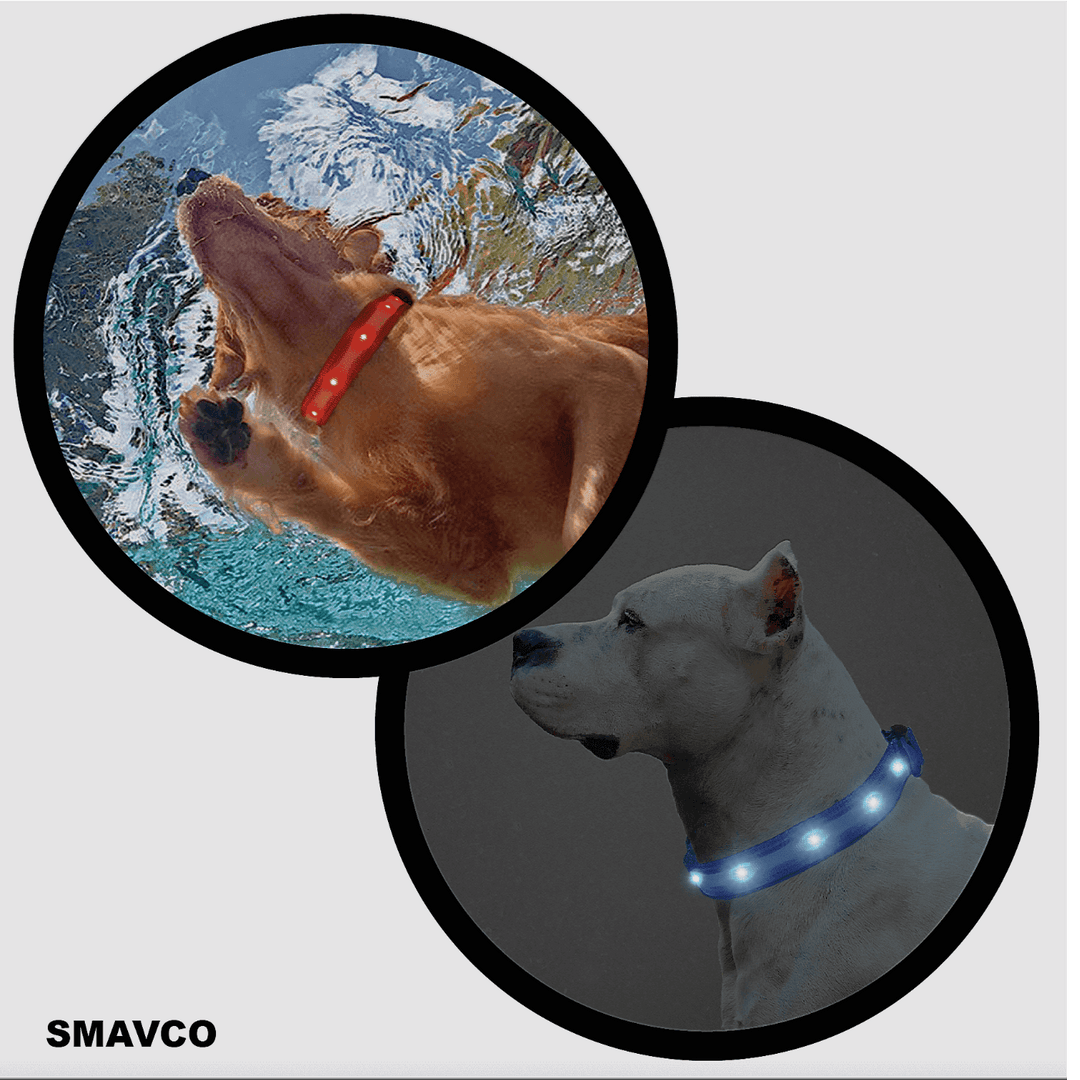 Airtag Holder LED Dog Collar Rechargeable, Waterproof, Adjustable, Soft, Reflective